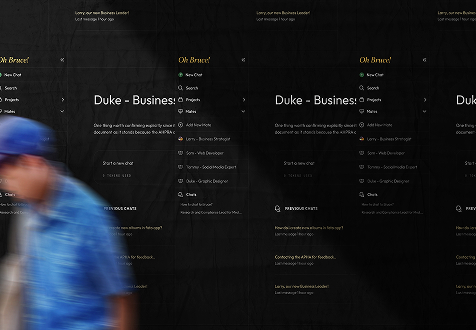 Bruce local-first AI assistant interface